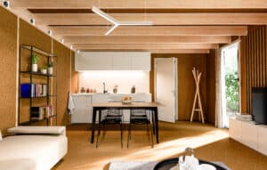 Solution économique pour agrandir sa maison